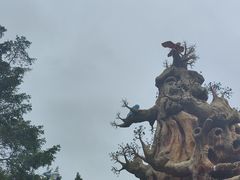 -珠海长隆海洋王国