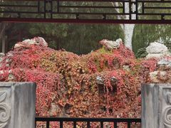 -莲池书院博物馆