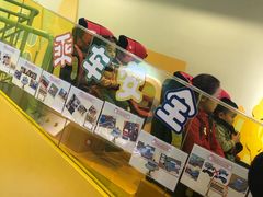 -中国宋庆龄青少年科技文化交流中心