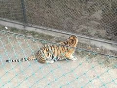 -石家庄市动物园