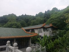 -临江·阅炉