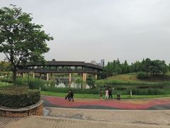 -眉山湿地公园(东坡区)