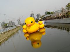 -菊园百果园