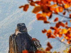 -秦岭终南山世界地质公园翠华山景区