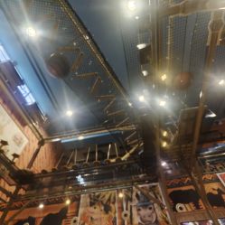 -卡通尼·Safari非洲探索乐园·生日会(金桥国际商业广场店)