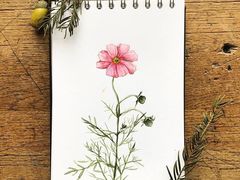 -八哥美术·成人美术画室(总校区)