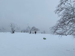-大秃顶子山