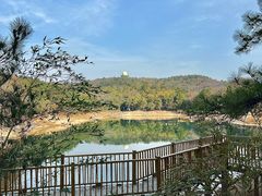 -南京市无想山景区