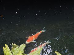 -香然会·园林雅宴(陆家嘴店)