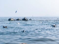 -深圳湾公园(南山区)
