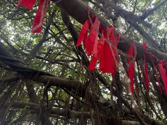 -胡里山炮台