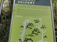 -南山植物园
