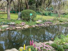 -上海共青森林公园