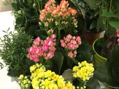 -翠微家园超市(甘家口店)
