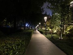 -唐城墙遗址公园