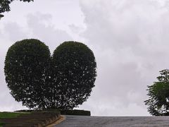 -东莞植物园