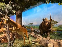 -国家自然博物馆