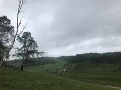 -关山草原