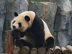 -杭州野生动物世界