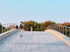 -雪枫公园