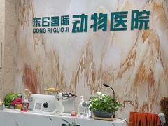 -东日国际动物医院·CT·心脏专科(桃源分院)