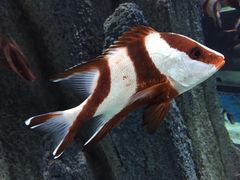 -福州罗源湾海洋世界旅游区