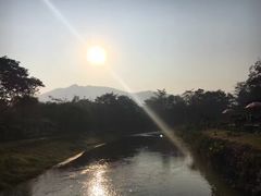 -大树秋千