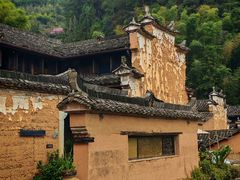 -杨家堂村