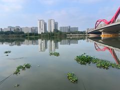 -扬州狮子楼·非遗淮扬菜(东关街店)