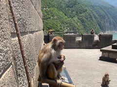 -白帝城·瞿塘峡景区