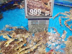 -盒马鲜生(岭南新世界店)