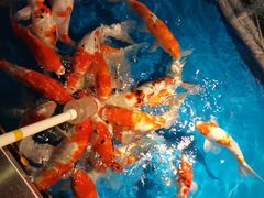 -大明湖海底世界