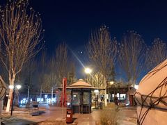 -九十九顶毡房(阜石路店)