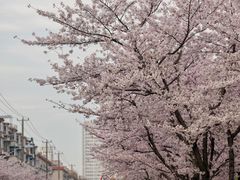 -永乐路-路侧停车场