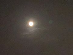 -武汉两江游览·夜游长江(汉口粤汉码头)