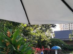 -亚马逊丛林水乐园