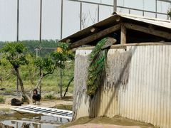-河北村民俗体验园