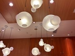-西贝(华发商都店)