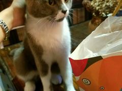 -MIKAKU(万达广场上海宝山店)