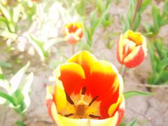 -廊坊文化艺术中心