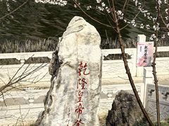 -桃花堤公园