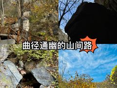 -大岭沟猕猴桃谷风景区