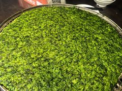 -茯茶镇