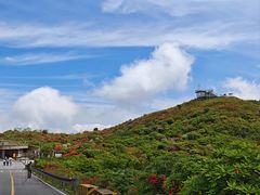 -大围山国家森林公园