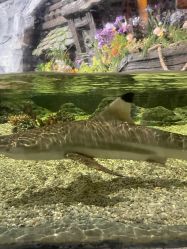 -Zoolung Zoolung动物主题公园(海信广场店)