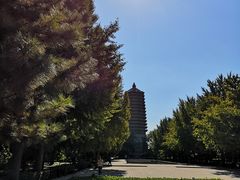 -玲珑塔公园