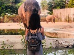 -清迈夜间动物园