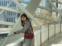 -凤凰中心