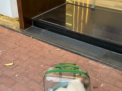 -拜鲁耶动物诊疗中心·宠家动物医院