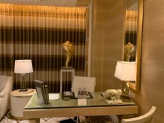 -拉斯维加斯永利酒店